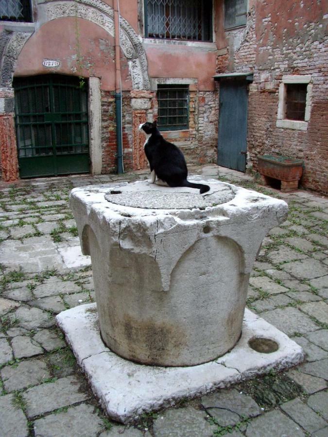 Apartment Essence Of Venecia Exterior foto